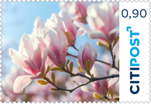 "Magnolie" 10x0,90€