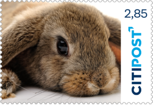 "Kaninchen" 10x2,85€