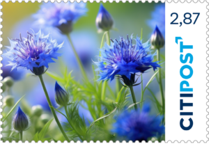 "Kornblume" 10x2,87€