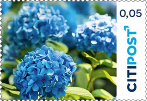 "Hortensie" 0,05 €