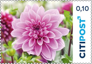 "Dahlie" 0,10 €