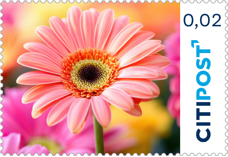 Ergänzungswert Gerbera