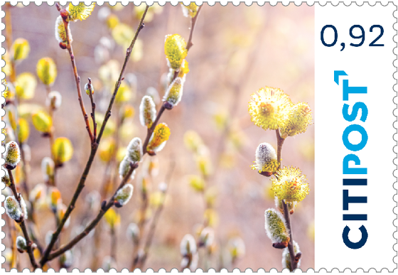 Frühling Heft Standard